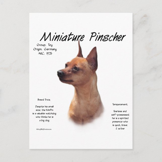Carte Postale Miniature Pinscher (rouge) (Devant)