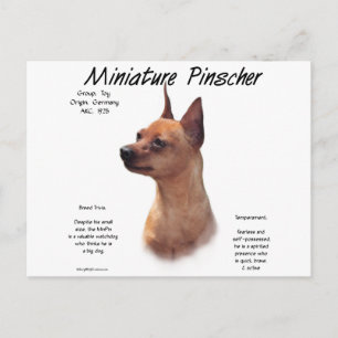 Carte Postale Miniature Pinscher (rouge)
