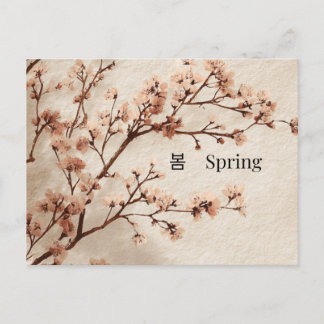 Carte Postale Minimal Cherry Blossom Spring Postcard