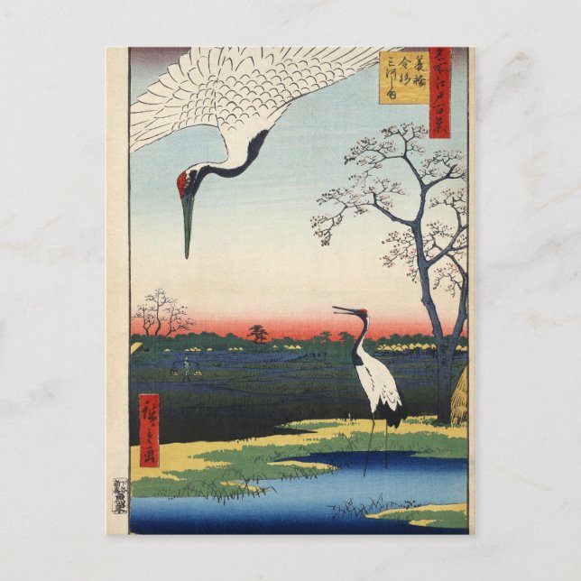 Carte Postale Minowa, Kanasugi, Mikawashima. (Devant)