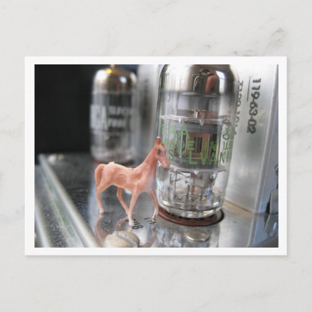 Carte Postale Minuscule cheval dans le Vintage McIntosh (Devant)