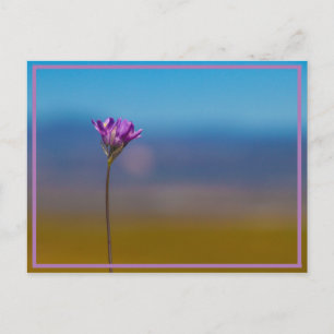 Carte Postale minuscule fleur