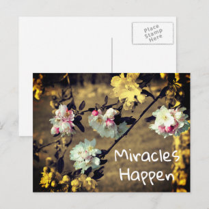 Carte Postale Miracles Happen Spring Blossoms Inspiration Post