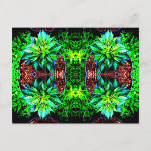 Carte Postale miroir pequin violet 4
