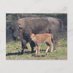 Carte postale Miss me