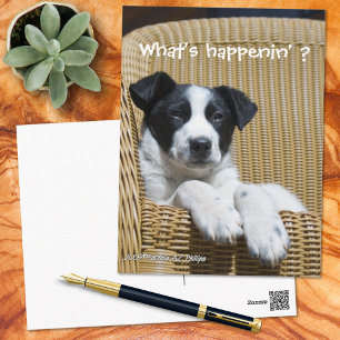 Carte Postale Miss You Cute Photo Chiot noir et blanc personnali
