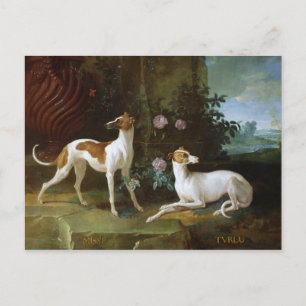 Carte Postale Misse et Turlu, deux lévriers de Louis XV