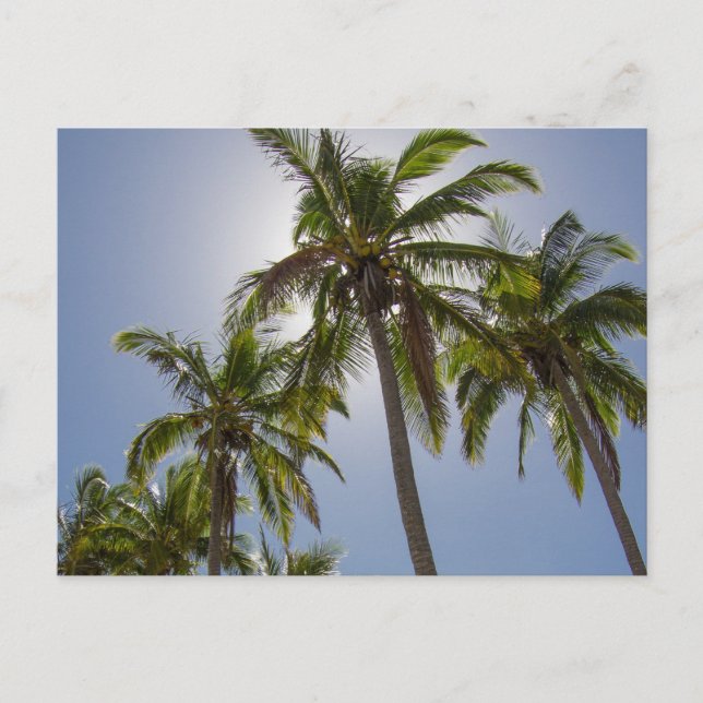 Carte Postale Mission Beach (Devant)