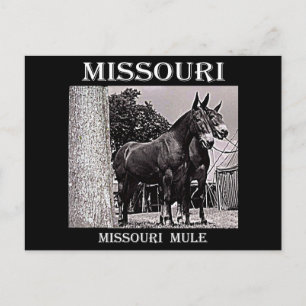 Carte Postale Missouri
