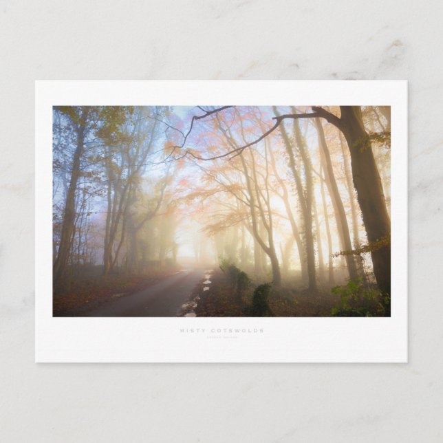 Carte Postale Misty Cotswolds (Devant)