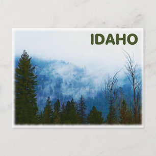 Carte Postale Misty Grey