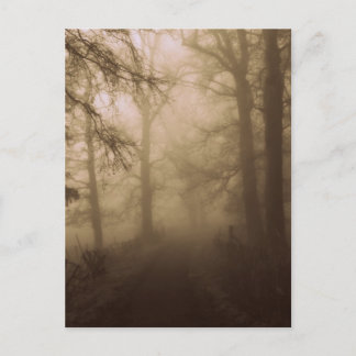 Carte Postale Misty Morning Walk in the Woods - Photo