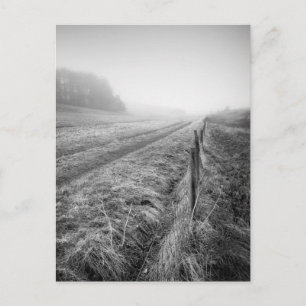 Carte postale Misty Wiltshire Field