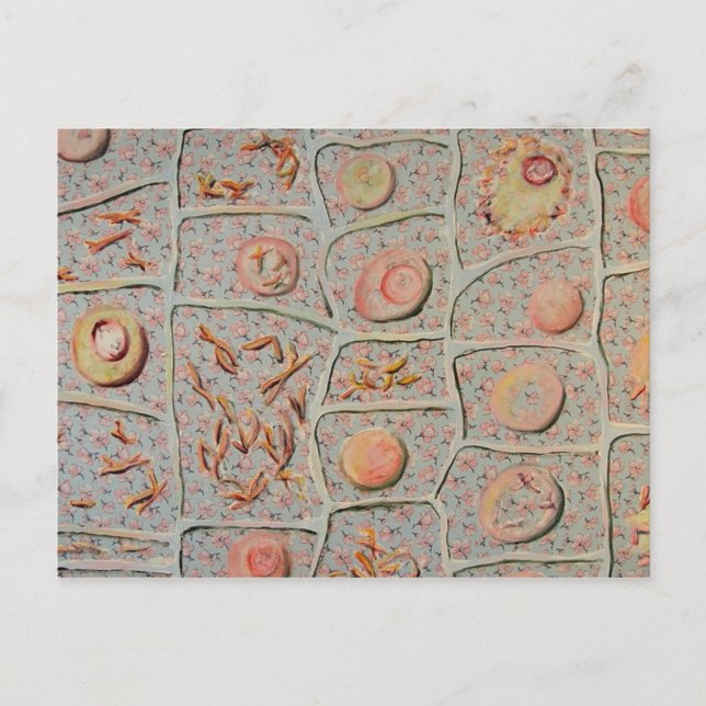 Carte Postale Mitose (Devant)