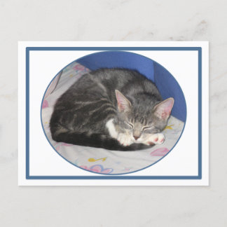 Carte postale Mittens Kitten Nap
