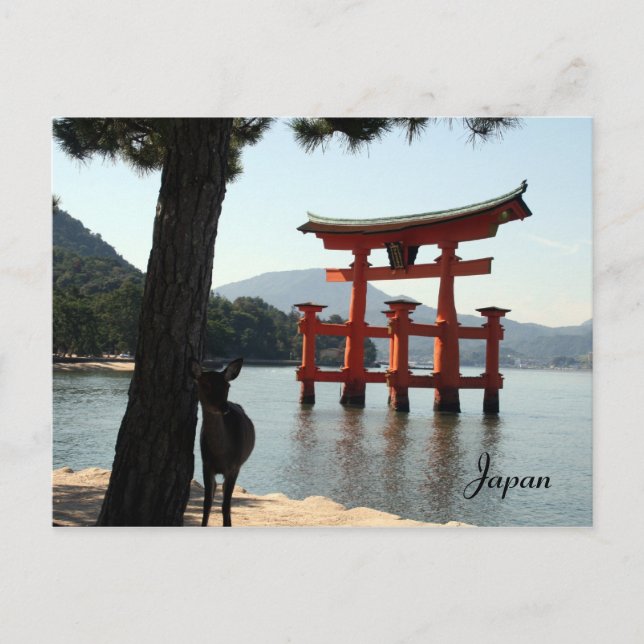 Carte Postale miyajima deer (Devant)