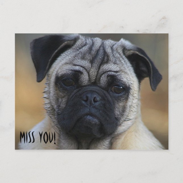 Carte Postale Mlle VOUS ! (Devant)