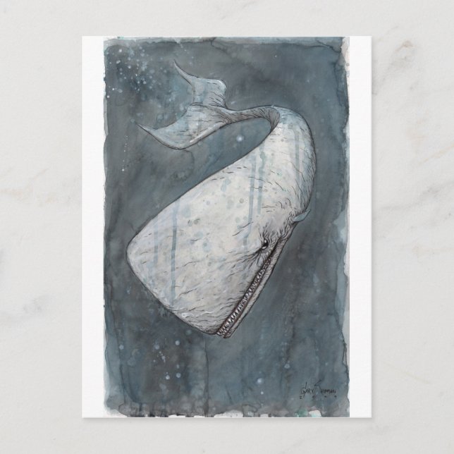 Carte Postale Moby Dick (Devant)