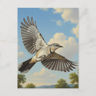 Carte Postale Mockingbird du Nord en vol