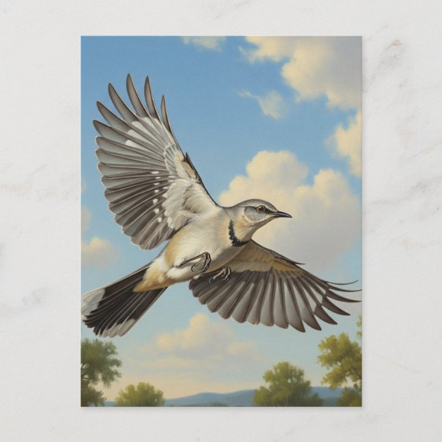 Carte Postale Mockingbird du Nord en vol (Devant)