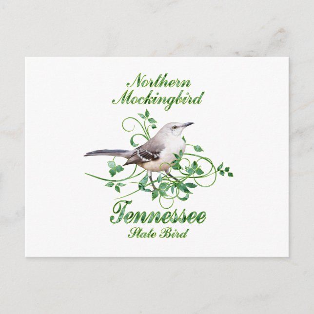 Carte Postale Mockingbird Tennessee State Bird (Devant)
