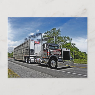 Carte postale modèle B Brown