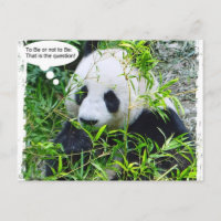 Modèle de citation d'art pop moderne Panda Tendanc