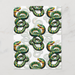 Carte Postale Modèle de motif de serpent sur fond blanc