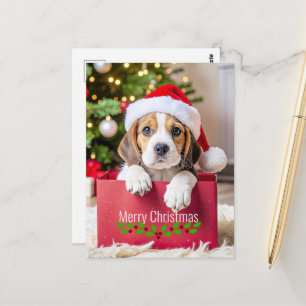 Carte Postale Modèle de Noël de chiot Beagle,