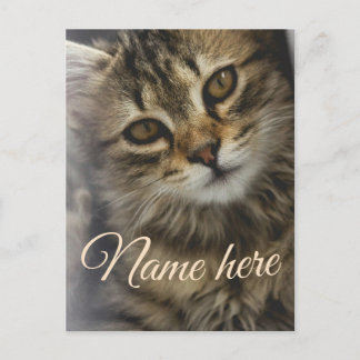 Carte Postale Modèle de photo de nom d'animal de compagnie simpl