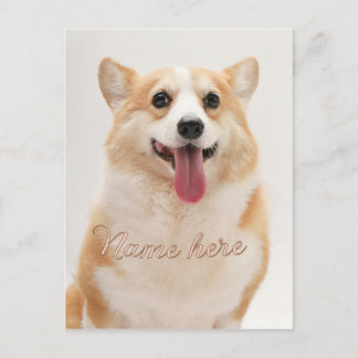Carte Postale Modèle de photo de nom d'animal de compagnie simpl