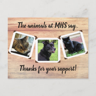 Carte Postale Modèle de photo pour le refuge pour animaux trois 