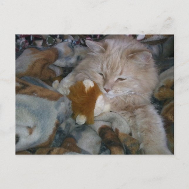 Carte Postale Modèle de rôle (Devant)