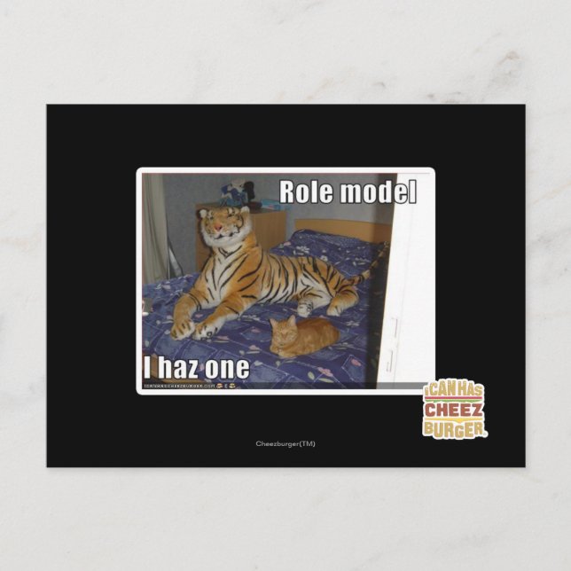 Carte Postale Modèle de rôle, j'en ai un (Devant)