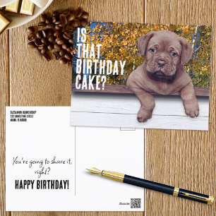 Carte Postale Modèle d'occasion spéciale photo de chiot brun mig