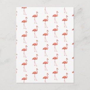 Carte Postale Modèle Flamingo rose féminin