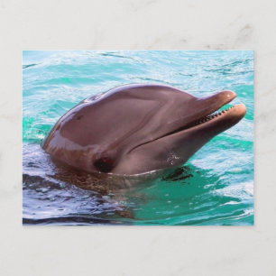 Carte postale Modèle horizontal - Customisé