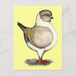 Carte Postale Modena Silver Gazzi