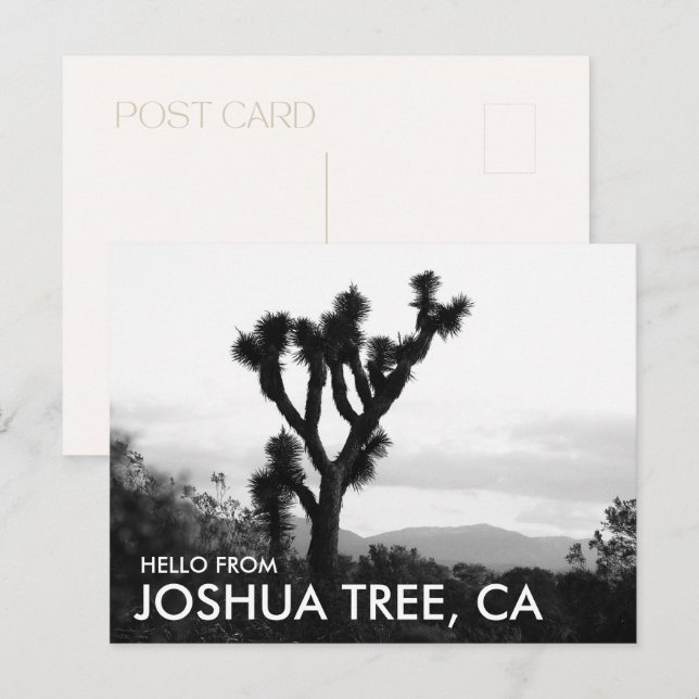 Carte Postale Moderne Bonjour en noir et blanc de Joshua Tree (Devant / Derrière)