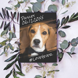 Carte Postale Moderne Chic Élégant Simple Noir Poet Chien Keepsa