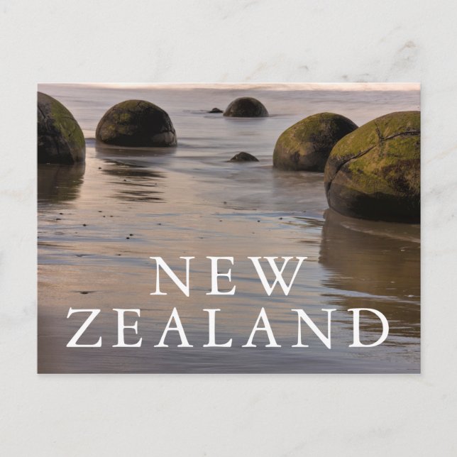 Carte Postale Moeraki Boulders Sur Plage (Devant)