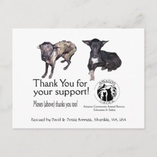 Carte postale: Moïse, avant et après son Secourt