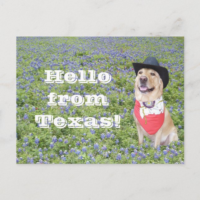 Carte Postale Moïse dans Bluebonnets (Devant)
