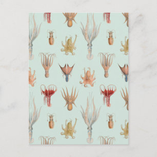 Carte Postale Mollusques vintages (bleu)