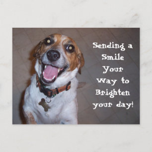 Carte Postale Molly Sourit !