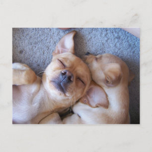 CARTE POSTALE MOMENT DANS LE TEMPS