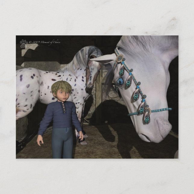 Carte Postale Moment de choix (Devant)