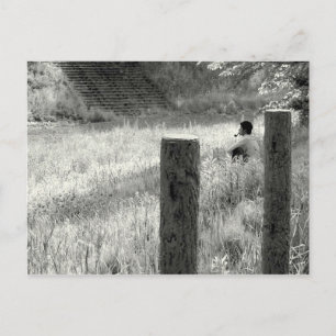 Carte Postale Moment de paix