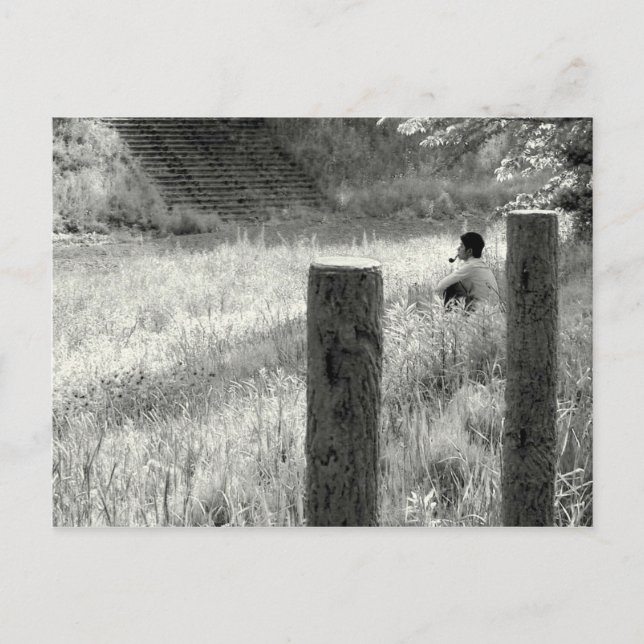 Carte Postale Moment de paix (Devant)