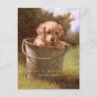 CARTE POSTALE MOMENTS D'OR